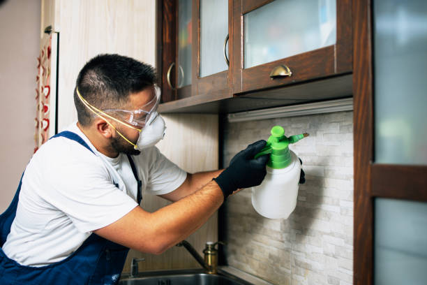 Best Best Pest Control Companies  in Social Circle, GA