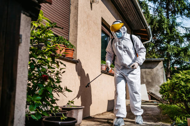 Professional Pest Control in Social Circle, GA
