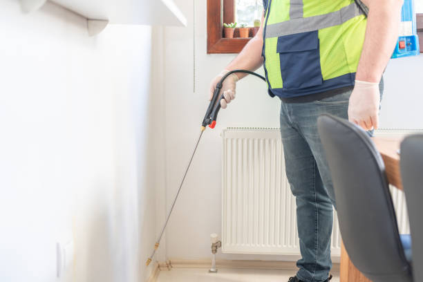 Best Termite Control Services  in Social Circle, GA