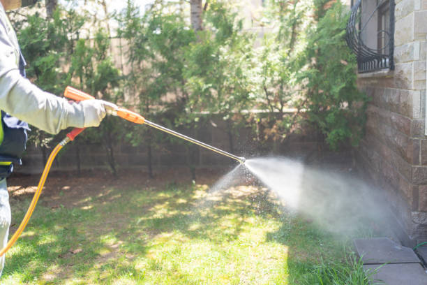 Best Wildlife Control Services  in Social Circle, GA
