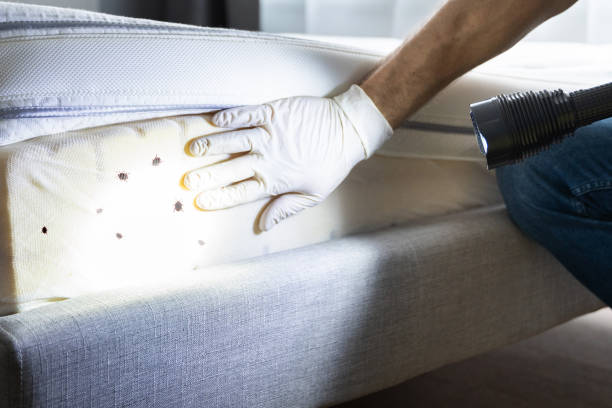 Best Exterminator Services  in Social Circle, GA