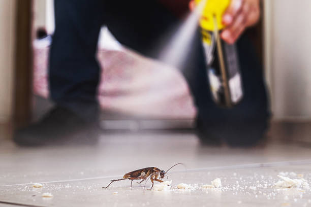 Best Commercial Pest Control Services  in Social Circle, GA