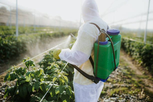  Social Circle, GA Pest Control Pros